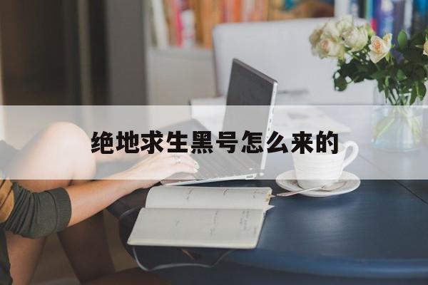 绝地求生黑号怎么来的