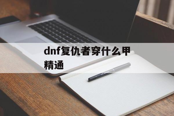 dnf复仇者穿什么甲精通