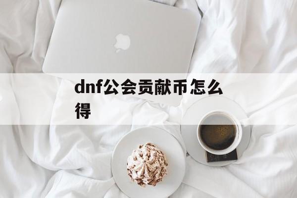 dnf公会贡献币怎么得