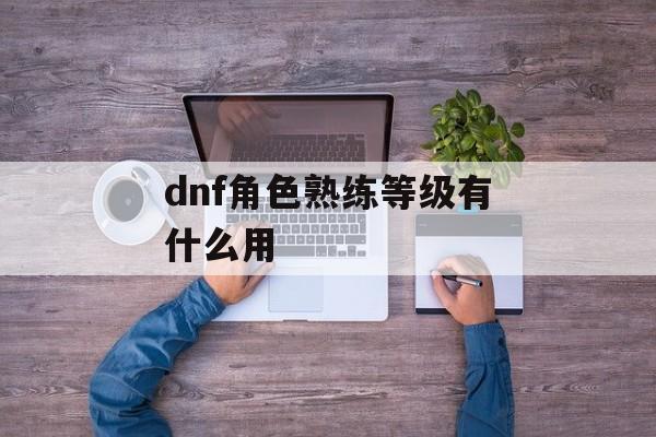 dnf角色熟练等级有什么用