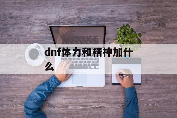 dnf体力和精神加什么