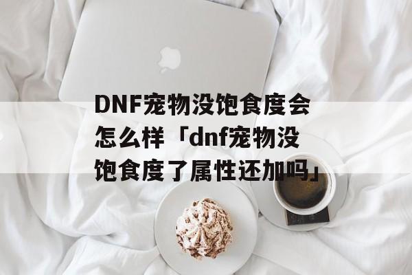 DNF宠物没饱食度会怎么样「dnf宠物没饱食度了属性还加吗」