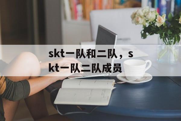 skt一队和二队，skt一队二队成员