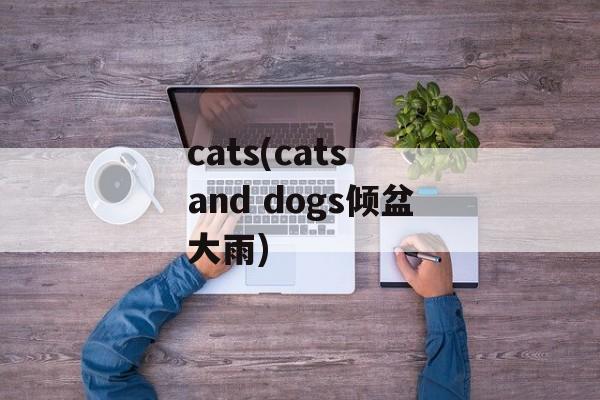 cats(cats and dogs倾盆大雨)