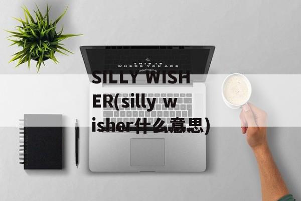 SILLY WISHER(silly wisher什么意思)