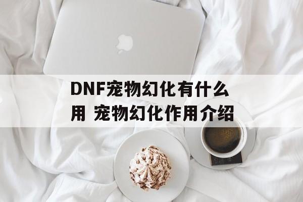 DNF宠物幻化有什么用 宠物幻化作用介绍