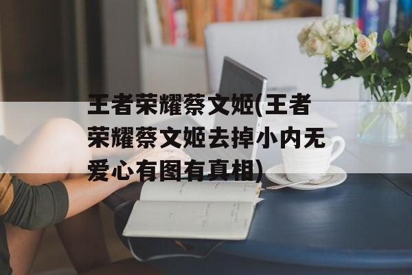 王者荣耀蔡文姬(王者荣耀蔡文姬去掉小内无爱心有图有真相)