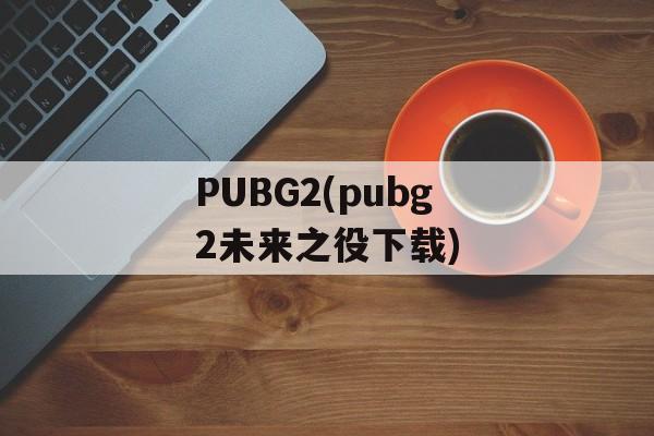 PUBG2(pubg2未来之役下载)