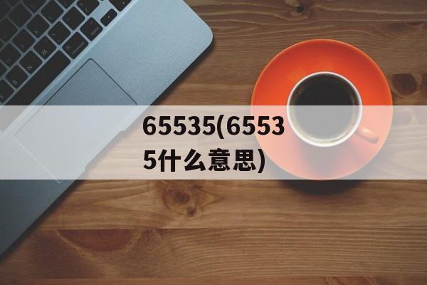 65535(65535什么意思)