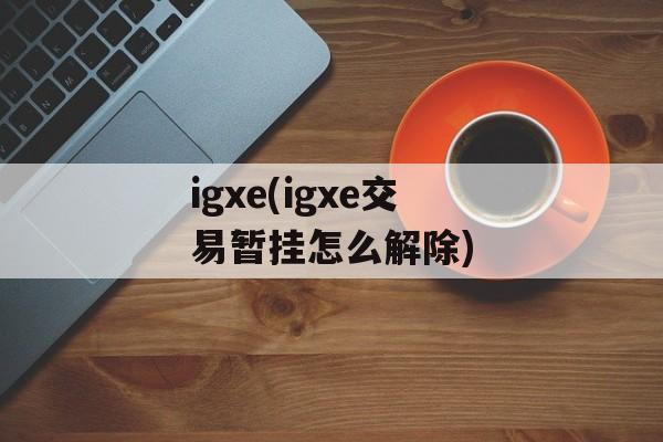 igxe(igxe交易暂挂怎么解除)