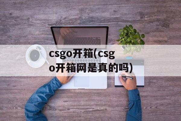 csgo开箱(csgo开箱网是真的吗)