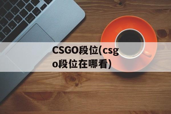 CSGO段位(csgo段位在哪看)