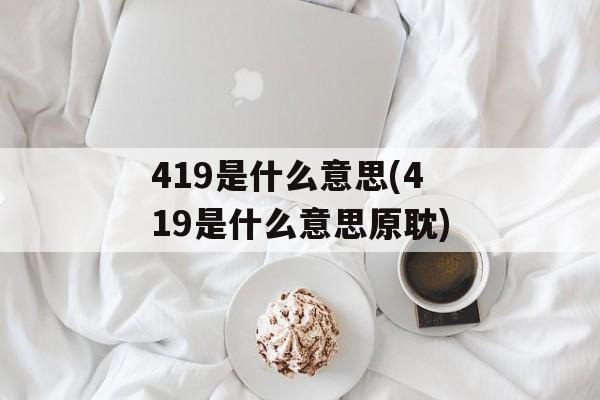 419是什么意思(419是什么意思原耽)