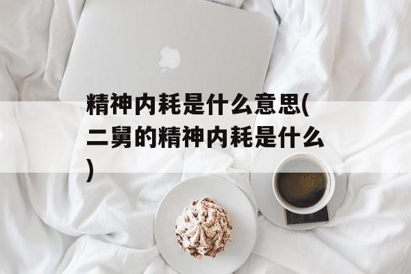 精神内耗是什么意思(二舅的精神内耗是什么)