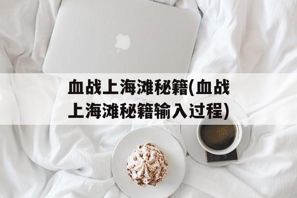 血战上海滩秘籍(血战上海滩秘籍输入过程)