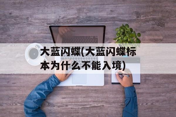 大蓝闪蝶(大蓝闪蝶标本为什么不能入境)