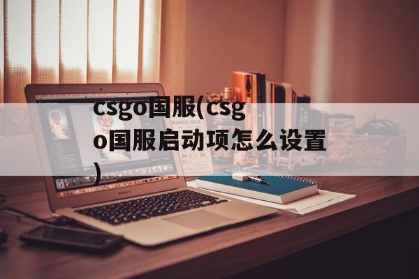 csgo国服(csgo国服启动项怎么设置)