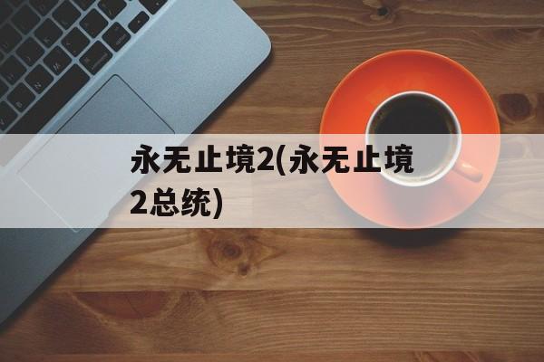 永无止境2(永无止境2总统)