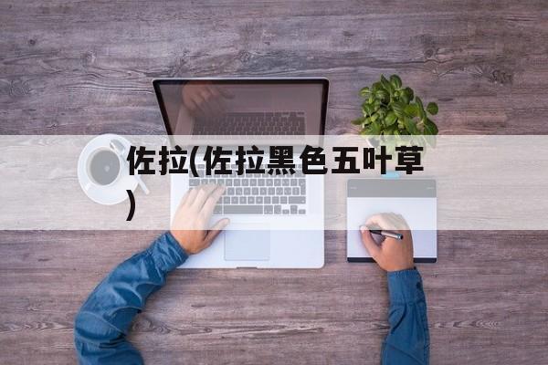 佐拉(佐拉黑色五叶草)