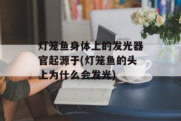 灯笼鱼身体上的发光器官起源于(灯笼鱼的头上为什么会发光)