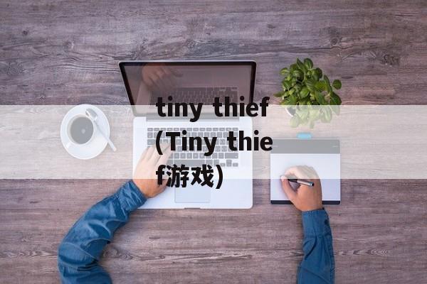 tiny thief(Tiny thief游戏)