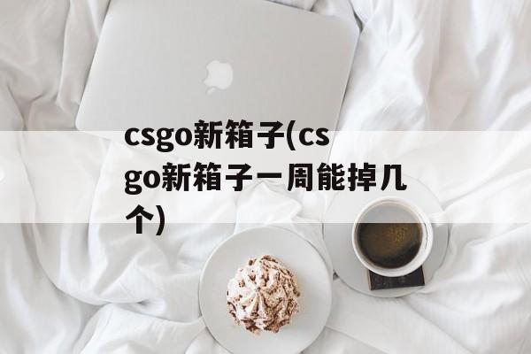 csgo新箱子(csgo新箱子一周能掉几个)