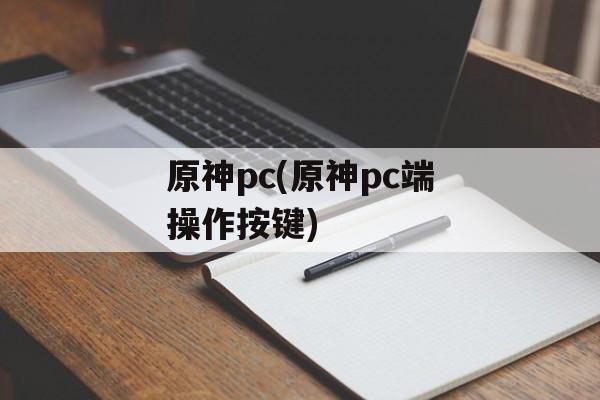 原神pc(原神pc端操作按键)