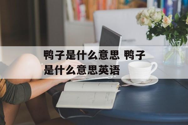 鸭子是什么意思 鸭子是什么意思英语