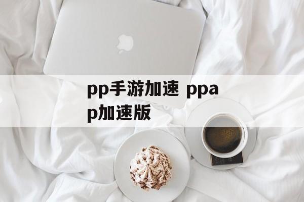 pp手游加速 ppap加速版