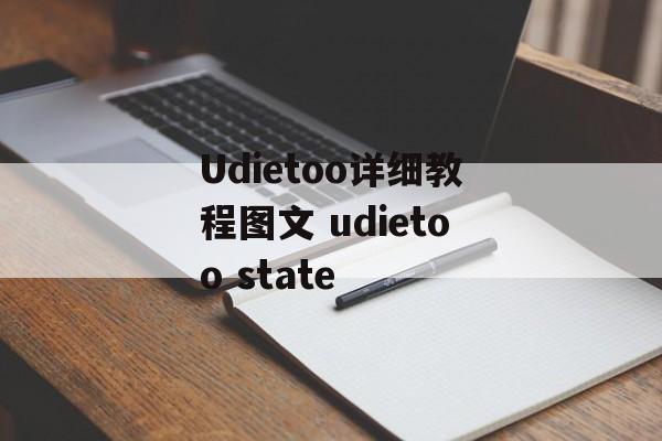 Udietoo详细教程图文 udietoo state