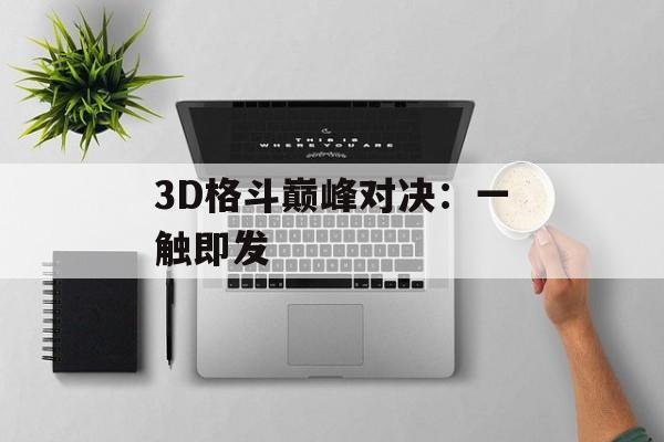 3D格斗巅峰对决：一触即发