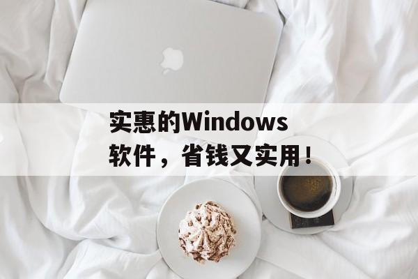 实惠的Windows软件，省钱又实用！