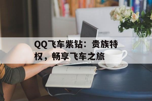 QQ飞车紫钻：贵族特权，畅享飞车之旅