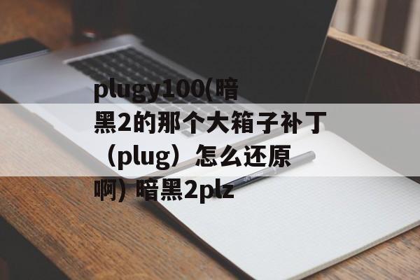 plugy100(暗黑2的那个大箱子补丁（plug）怎么还原啊) 暗黑2plz