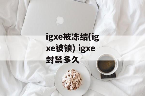 igxe被冻结(igxe被锁) igxe封禁多久