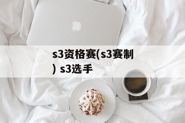 s3资格赛(s3赛制) s3选手