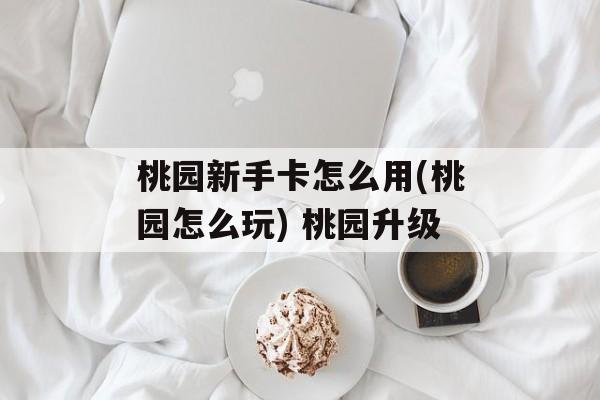 桃园新手卡怎么用(桃园怎么玩) 桃园升级