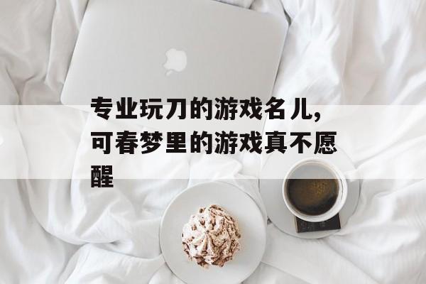 专业玩刀的游戏名儿,可春梦里的游戏真不愿醒