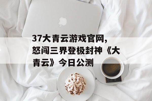 37大青云游戏官网,怒闯三界登极封神《大青云》今日公测