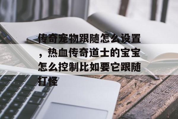 传奇宠物跟随怎么设置，热血传奇道士的宝宝怎么控制比如要它跟随打怪