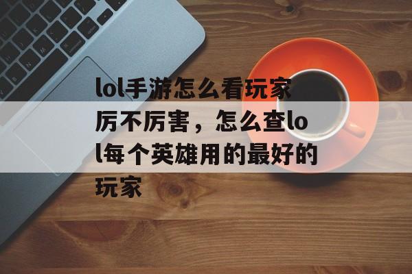 lol手游怎么看玩家厉不厉害，怎么查lol每个英雄用的最好的玩家