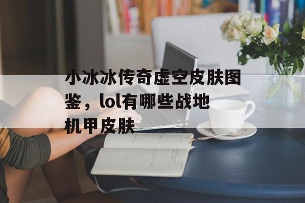 小冰冰传奇虚空皮肤图鉴，lol有哪些战地机甲皮肤