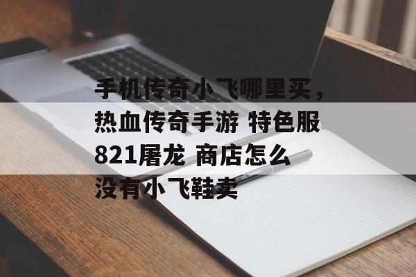 手机传奇小飞哪里买，热血传奇手游 特色服821屠龙 商店怎么没有小飞鞋卖