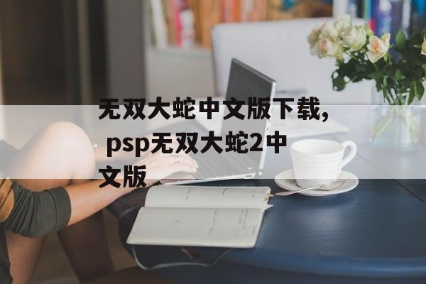 无双大蛇中文版下载, psp无双大蛇2中文版