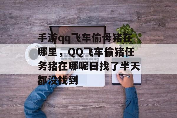 手游qq飞车偷母猪在哪里，QQ飞车偷猪任务猪在哪呢日找了半天都没找到