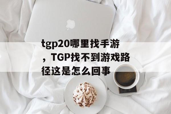 tgp20哪里找手游，TGP找不到游戏路径这是怎么回事