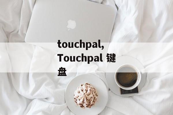 touchpal, Touchpal 键盘