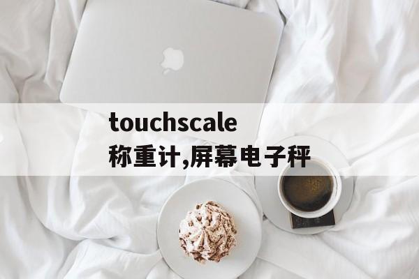 touchscale称重计,屏幕电子秤