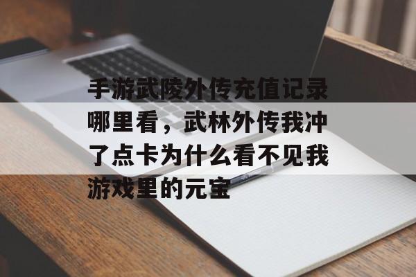 手游武陵外传充值记录哪里看，武林外传我冲了点卡为什么看不见我游戏里的元宝