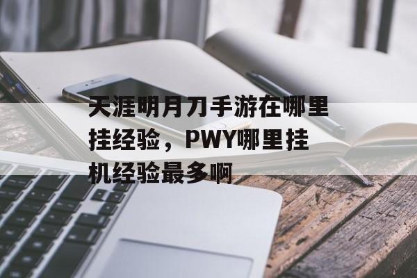 天涯明月刀手游在哪里挂经验，PWY哪里挂机经验最多啊